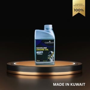 CASTILLO GASOLINE ENGINE OIL 10w30